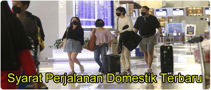 Syarat Perjalanan Domestik Terbaru Kereta Api, Pesawat, Bus AKAP, PELNI